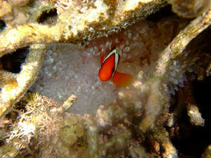 DSCF4205.jpg