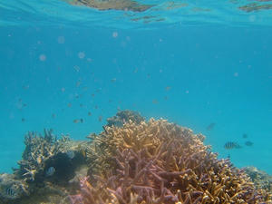 DSCF4222.jpg