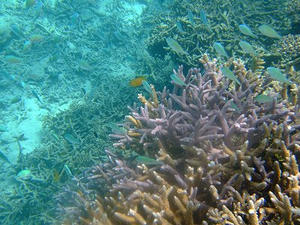 DSCF4225.jpg