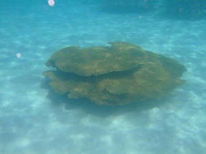 DSCF4232.jpg