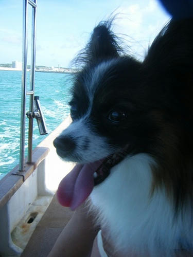 DSCF9980.jpg