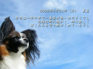 DSCF8130.jpg