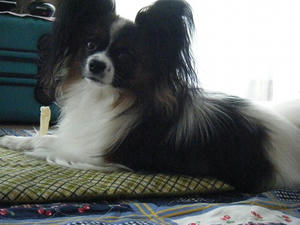 DSCF8185.jpg