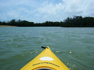 DSCF8280.jpg