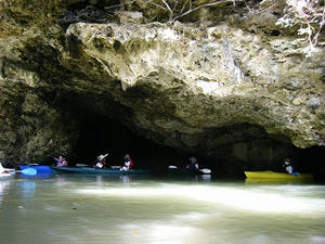DSCF8338.jpg