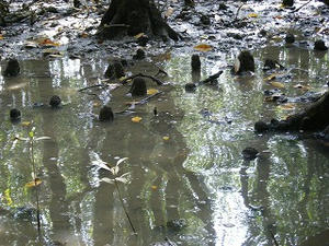 DSCF8344.jpg