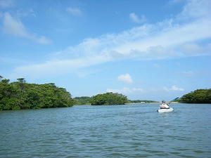 DSCF8405.jpg