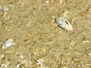 DSCF8403.jpg