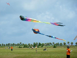 DSCF8427.jpg