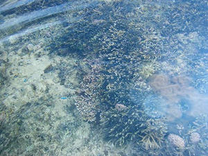 DSCF8472.jpg