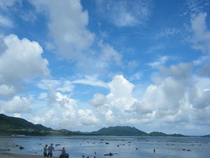 DSCF8489.jpg