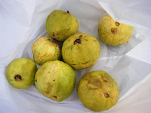 DSCF8579.jpg
