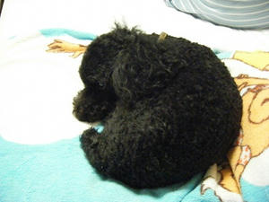 DSCF8628.jpg