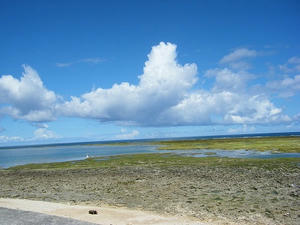 DSCF8615.jpg