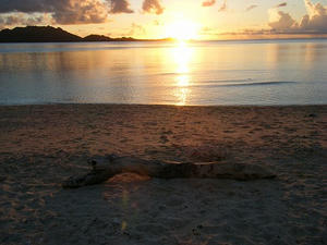 DSCF8707.jpg