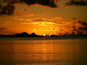 DSCF8732.jpg