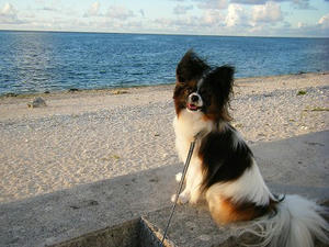 DSCF8813.jpg