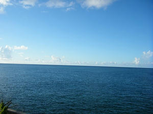 DSCF8827.jpg