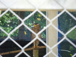 DSCF8900.jpg