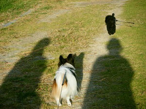 DSCF8834.jpg