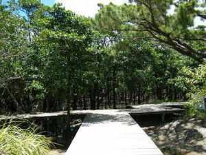 DSCF8902.jpg