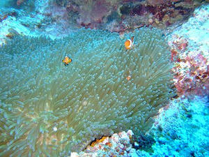 DSCF4520.jpg