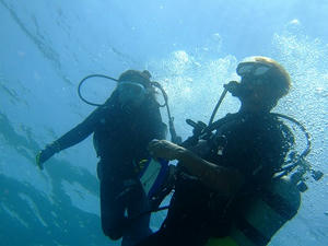 DSCF4537.jpg