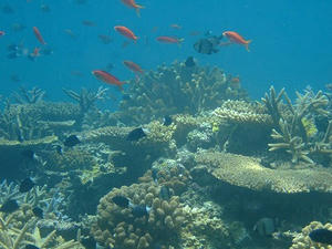 DSCF4542.jpg