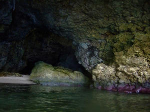 DSCF4571.jpg