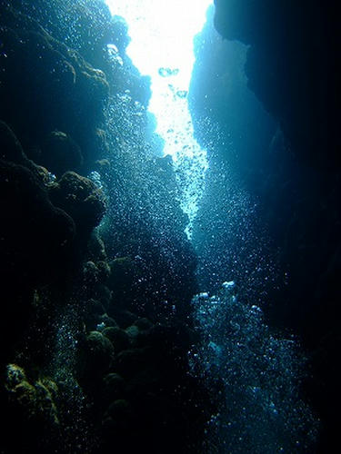 DSCF4580.jpg