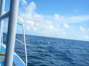 DSCF8946.jpg