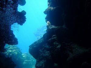 DSCF4601.jpg