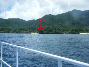 DSCF8955.jpg
