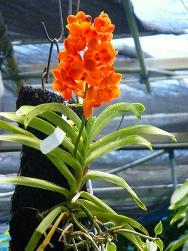 DSCF8972.jpg