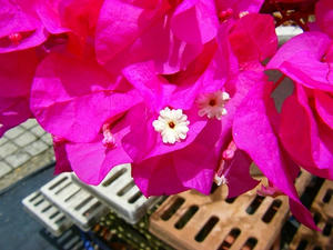 DSCF8985.jpg