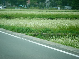 DSCF9718.jpg