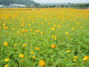 DSCF9558.jpg