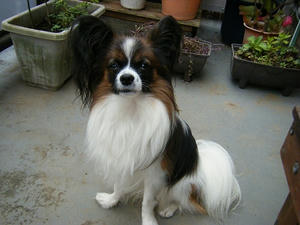 DSCF9927.jpg