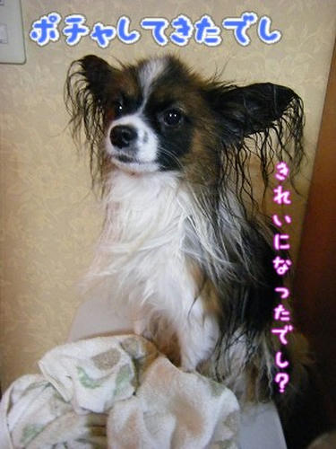 DSCF5018.jpg