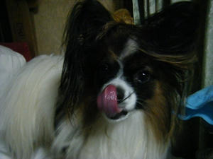 DSCF5020.jpg