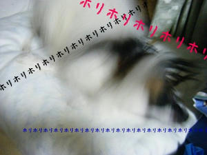 DSCF5021.jpg