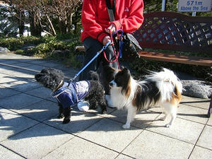 DSCF5198.jpg
