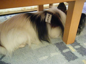 DSCF5378.jpg