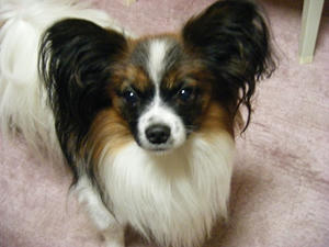 DSCF5499.jpg