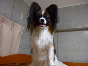 DSCF5057.jpg