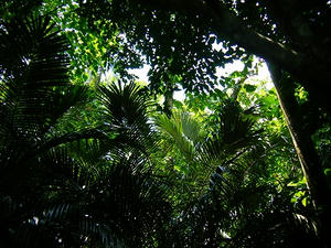 DSCF5847.jpg