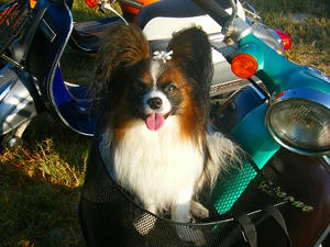 DSCF5923.jpg