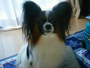 DSCF5936.jpg