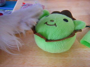 DSCF5937.jpg