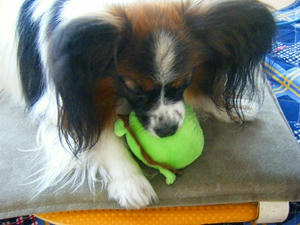 DSCF5942.jpg